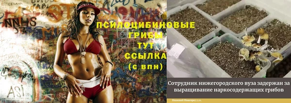 гидра Алзамай