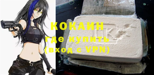 стаф Осинники